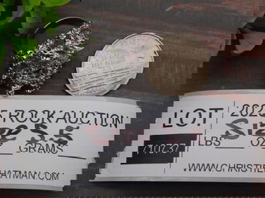 Silver-tone Hammered Fashion Ring