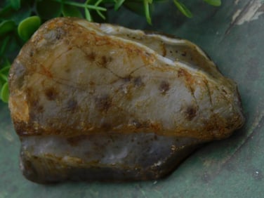 Rock Stone Lapidary Specimen