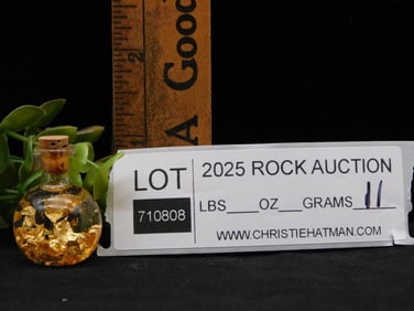 Gold Flakes in Bottle Rock Stone Lapidary Specimen