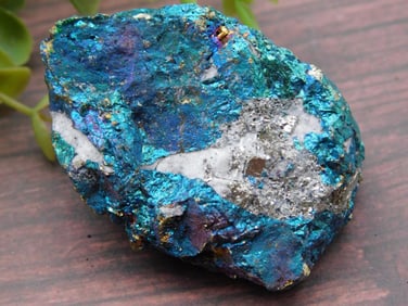 Peacock Ore Rock Stone Lapidary Specimen