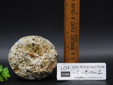 Unpolished Agate Specimen Weighing 1 lb 9 oz Rock Stone Lapidary Specimen