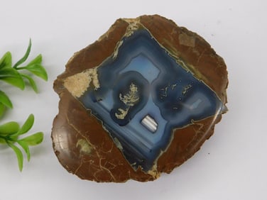 THUNDER EGG AGATE ROCK STONE LAPIDARY SPECIMEN