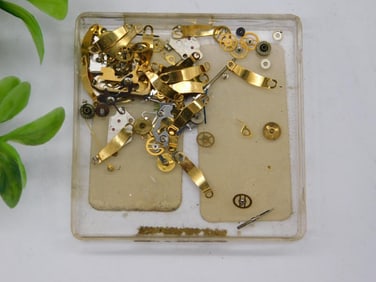 Watch Parts in Plastic Case WATCHMAKING WATCHMAKER TOOLS