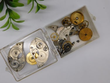 Watch Movement Parts in Clear Plastic Case Watchmaking Watchmaker Tools