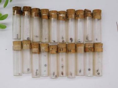 16 Antique Specimen Vials with Cork Stoppers WATCHMAKER WATCHMAKING TOOLS