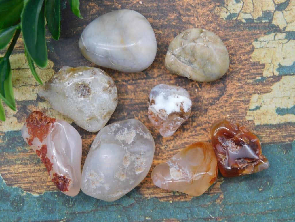 TUMBLED AGATE ROCK STONE LAPIDARY SPECIMEN: TUMBLED AGATE ROCK STONE LAPIDARY SPECIMEN
