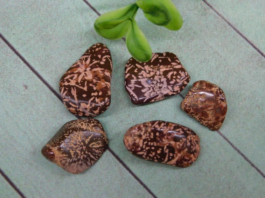 STARBURST JASPER ROCK STONE LAPIDARY SPECIMEN: STARBURST JASPER ROCK STONE LAPIDARY SPECIMEN