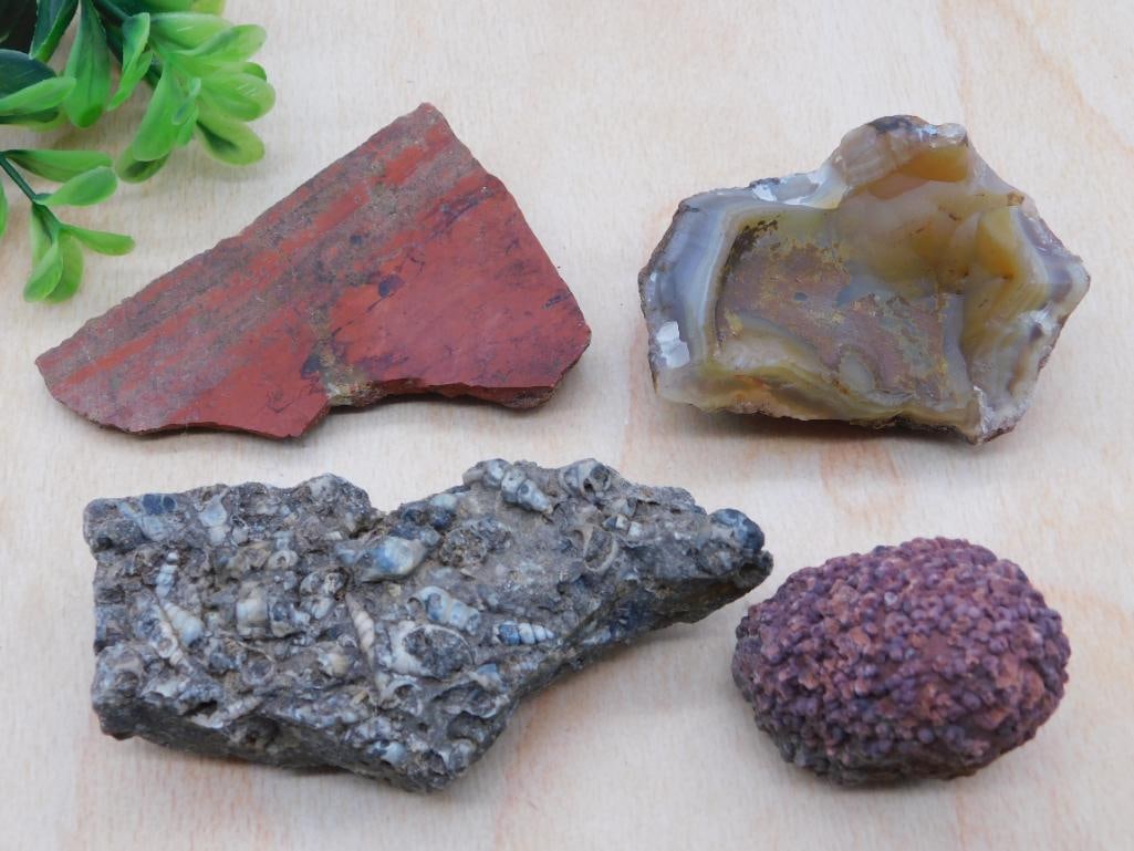 MIXED LOT ROCK STONE LAPIDARY SPECIMEN: MIXED LOT ROCK STONE LAPIDARY SPECIMEN