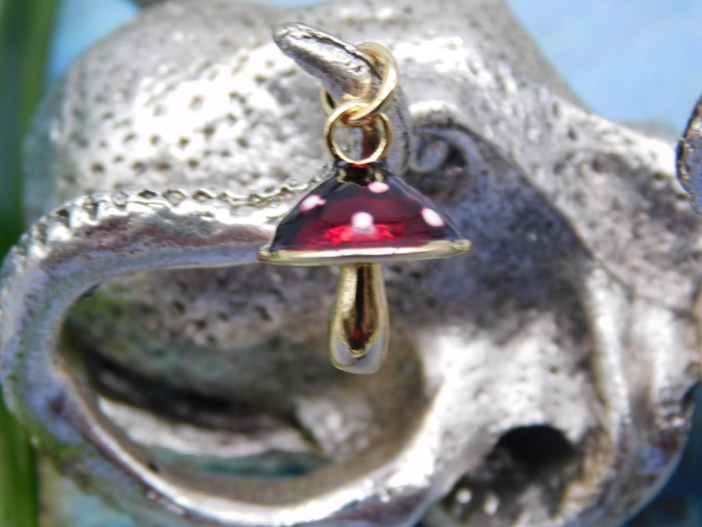 MUSHROOM PENDANT ROCK STONE LAPIDARY SPECIMEN: MUSHROOM PENDANT ROCK STONE LAPIDARY SPECIMEN