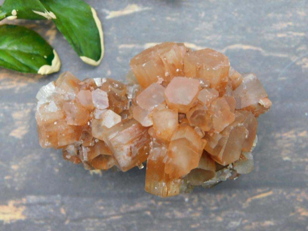 ARAGONITE ROCK STONE LAPIDARY SPECIMEN: ARAGONITE ROCK STONE LAPIDARY SPECIMEN