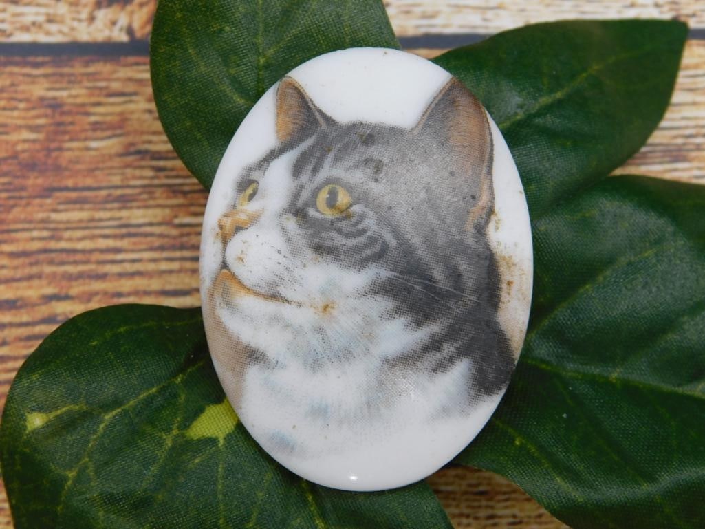 CAT CABOCHON ROCK STONE LAPIDARY SPECIMEN: CAT CABOCHON ROCK STONE LAPIDARY SPECIMEN