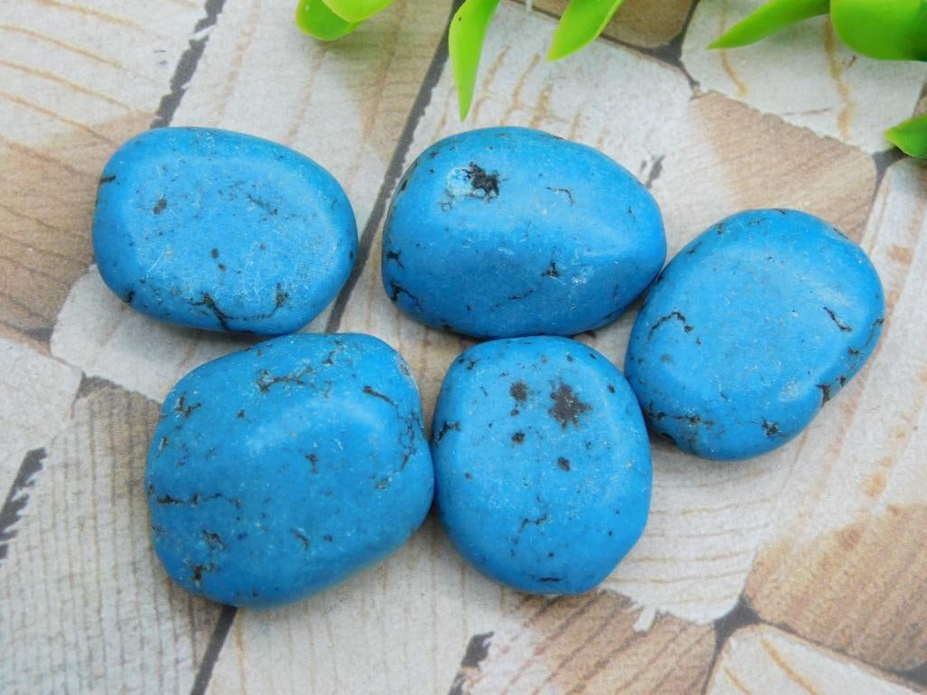 ROCK STONE LAPIDARY SPECIMEN: ROCK STONE LAPIDARY SPECIMEN