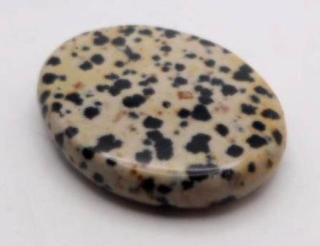 DALMATION JASPER ROCK STONE LAPIDARY SPECIMEN: DALMATION JASPER ROCK STONE LAPIDARY SPECIMEN