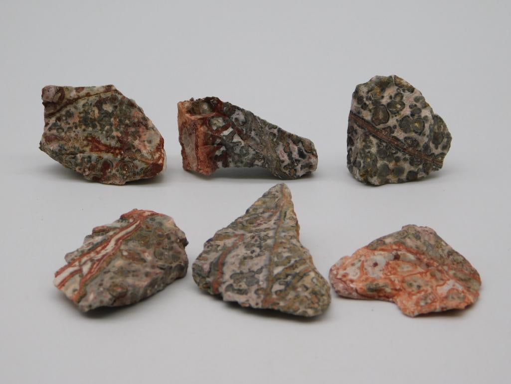 LEOPARD SKIN JASPER ROCK STONE LAPIDARY SPECIMEN: LEOPARD SKIN JASPER ROCK STONE LAPIDARY SPECIMEN