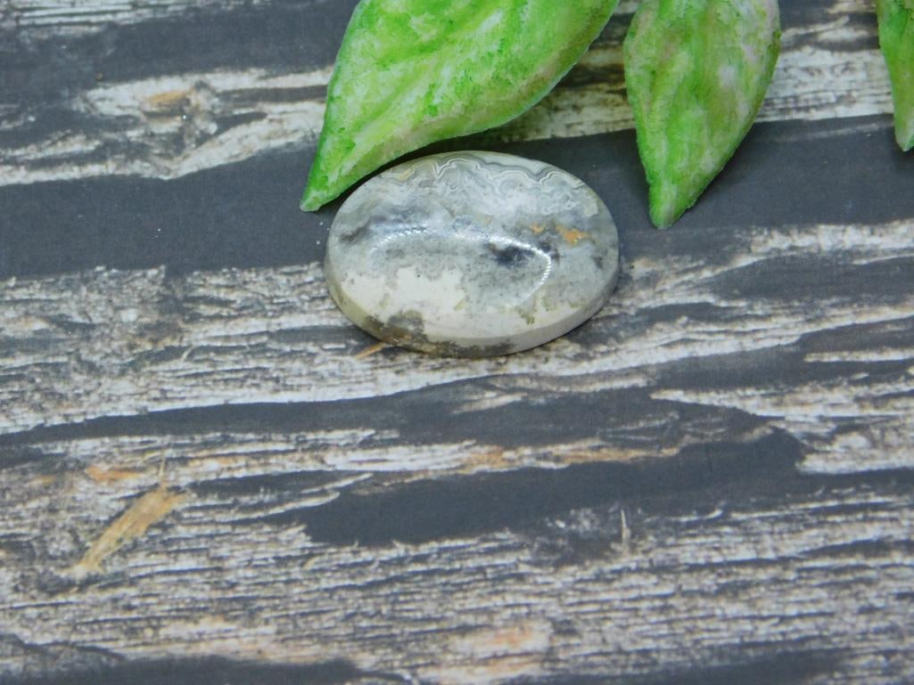 CABOCHON ROCK STONE LAPIDARY SPECIMEN: CABOCHON ROCK STONE LAPIDARY SPECIMEN