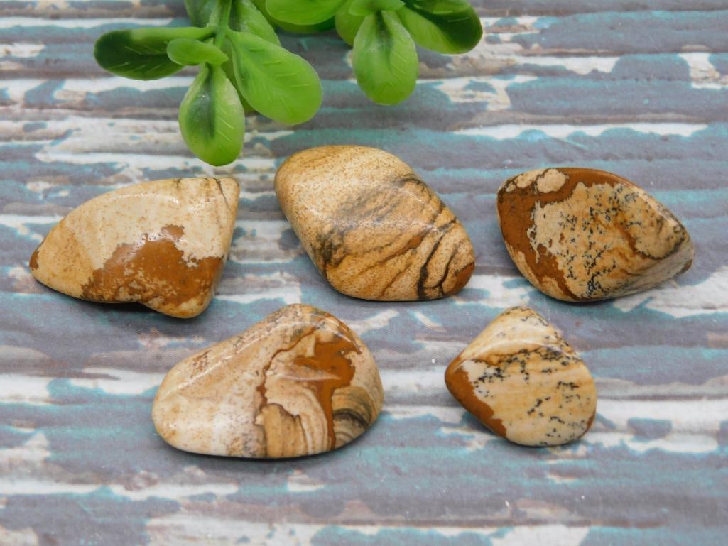 PICTURE JASPER ROCK STONE LAPIDARY SPECIMEN: PICTURE JASPER ROCK STONE LAPIDARY SPECIMEN