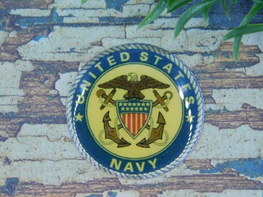 UNITED STATES NAVY CABOCHON ROCK STONE LAPIDARY SPECIMEN: UNITED STATES NAVY CABOCHON ROCK STONE LAPIDARY SPECIMEN