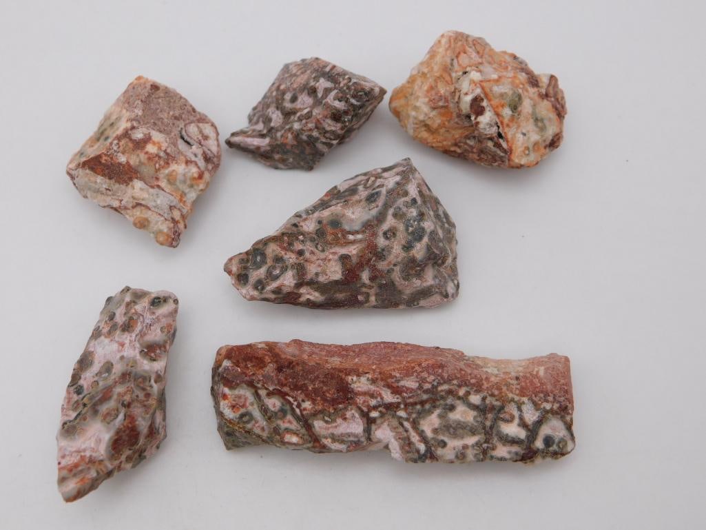 LEOPARD SKIN JASPER ROCK STONE LAPIDARY SPECIMEN: LEOPARD SKIN JASPER ROCK STONE LAPIDARY SPECIMEN
