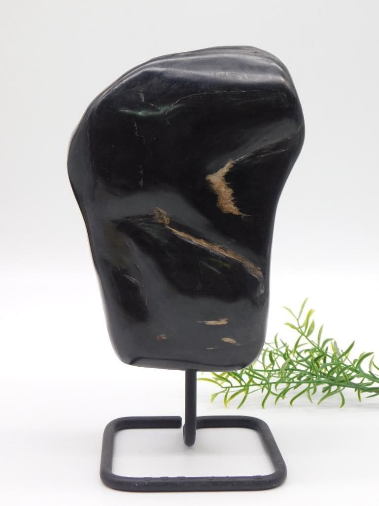 4 POUND PETRIFIED WOOD DISPLAY ROCK STONE LAPIDARY SPECIMEN: 4 POUND PETRIFIED WOOD DISPLAY ROCK STONE LAPIDARY SPECIMEN