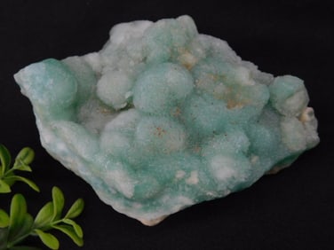 Caribbean Calcite Green Botryoidal Mineral Specimen Rock Stone Lapidary Specimen