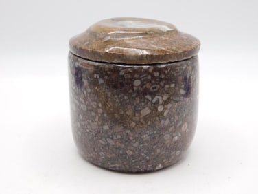 ORTHOCERAS TRINKET BOX ROCK STONE LAPIDARY SPECIMEN