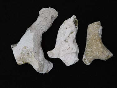 AGATIZED QUARTZ ROCK STONE LAPIDARY SPECIMEN