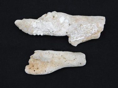 AGATIZED QUARTZ ROCK STONE LAPIDARY SPECIMEN