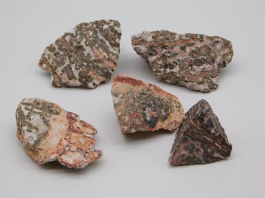 LEOPARD SKIN JASPER ROCK STONE LAPIDARY SPECIMEN