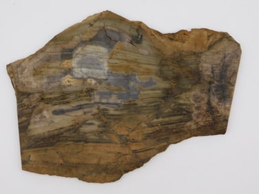 ROCK STONE LAPIDARY SPECIMEN