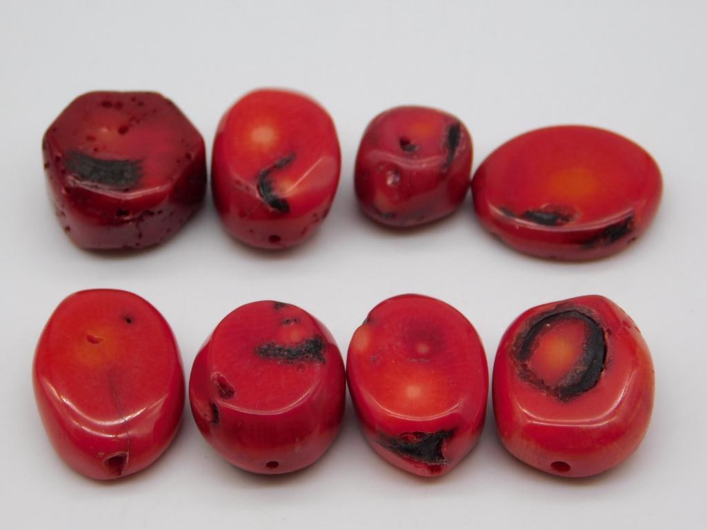 RED CORAL ROCK STONE LAPIDARY SPECIMEN: RED CORAL ROCK STONE LAPIDARY SPECIMEN