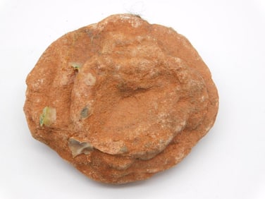 BARITE DESERT ROSE ROCK STONE LAPIDARY SPECIMEN