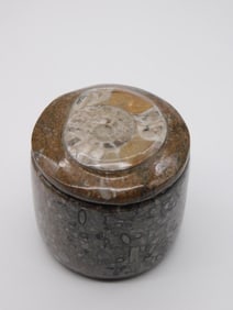 ORTHOCERAS TRINKET BOX ROCK STONE LAPIDARY SPECIMEN