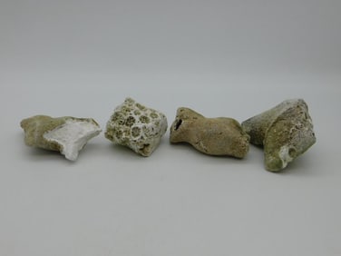 AGATIZED QUARTZ AND FOSSILIZED CORAL ROCK STONE LAPIDARY SPECIMEN