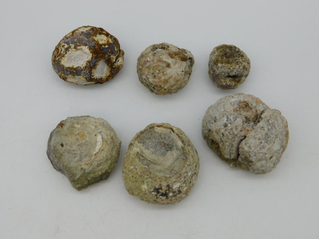 MEXICAN AGATE ROCK STONE LAPIDARY SPECIMEN: MEXICAN AGATE ROCK STONE LAPIDARY SPECIMEN