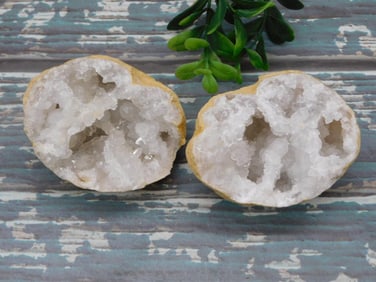 GEODE ROCK STONE LAPIDARY SPECIMEN