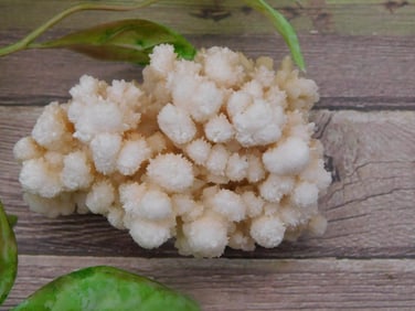CAULIFLOWER CALCITE ROCK STONE LAPIDARY SPECIMEN