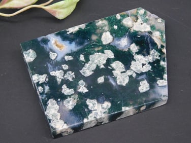 Polished Moss Agate Slab with Green and White Patterns