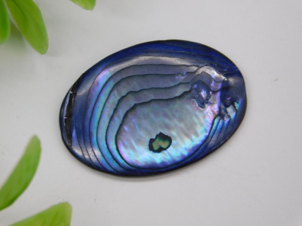 Abalone Cabochon Rock Stone Lapidary Specimen: Abalone Cabochon Rock Stone Lapidary Specimen