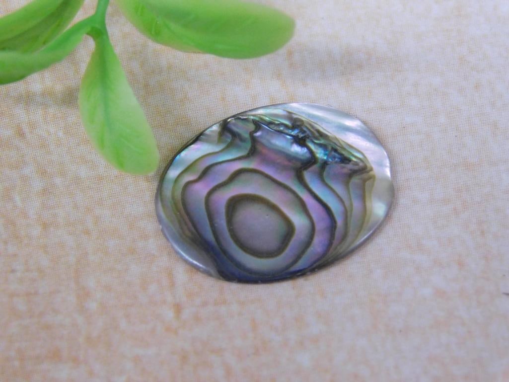 ABALONE CABOCHON ROCK STONE LAPIDARY SPECIMEN: ABALONE CABOCHON ROCK STONE LAPIDARY SPECIMEN