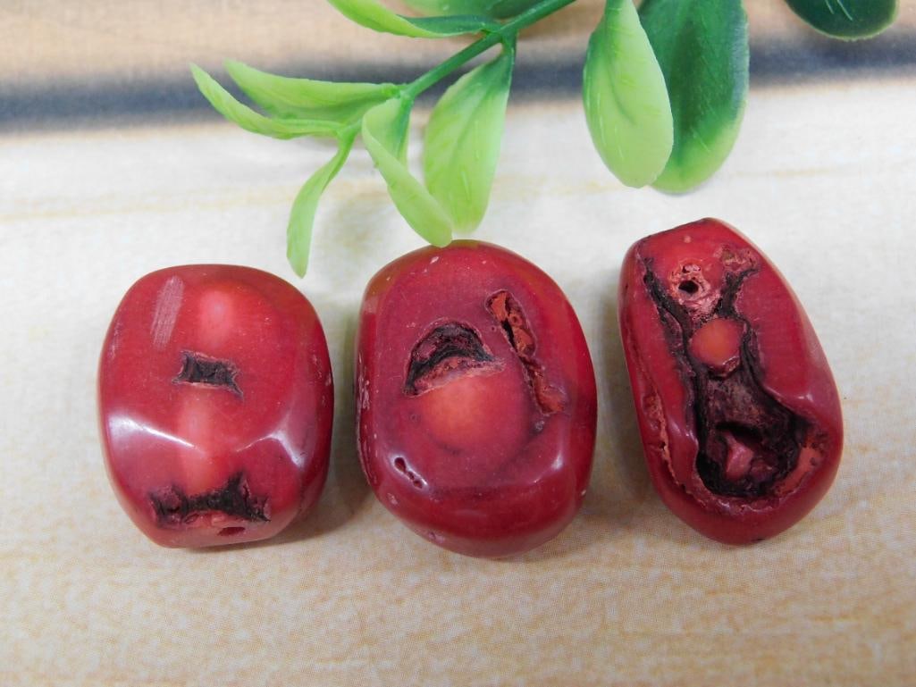 RED CORAL ROCK STONE LAPIDARY SPECIMEN: RED CORAL ROCK STONE LAPIDARY SPECIMEN