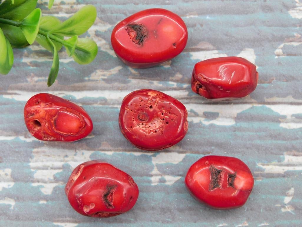 RED CORAL ROCK STONE LAPIDARY SPECIMEN: RED CORAL ROCK STONE LAPIDARY SPECIMEN