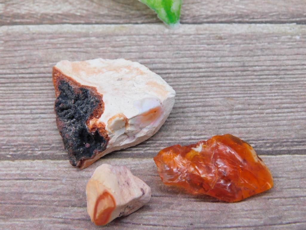 Rough Opals Rock Stone Lapidary Specimen: Rough Opals Rock Stone Lapidary Specimen