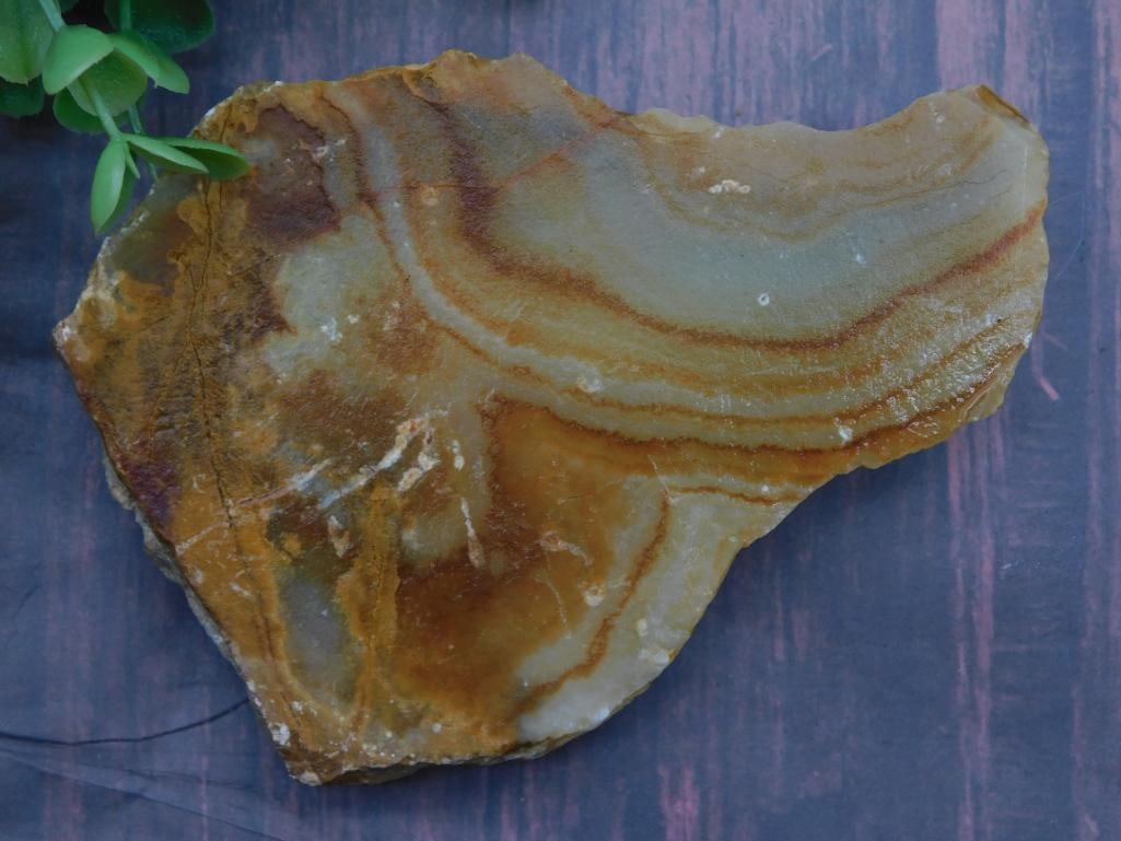 Jasper ROCK STONE LAPIDARY SPECIMEN: Jasper ROCK STONE LAPIDARY SPECIMEN