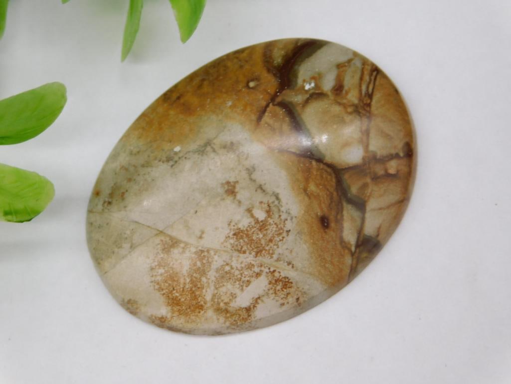 Jasper Cabochon ROCK STONE LAPIDARY SPECIMEN: Jasper Cabochon ROCK STONE LAPIDARY SPECIMEN