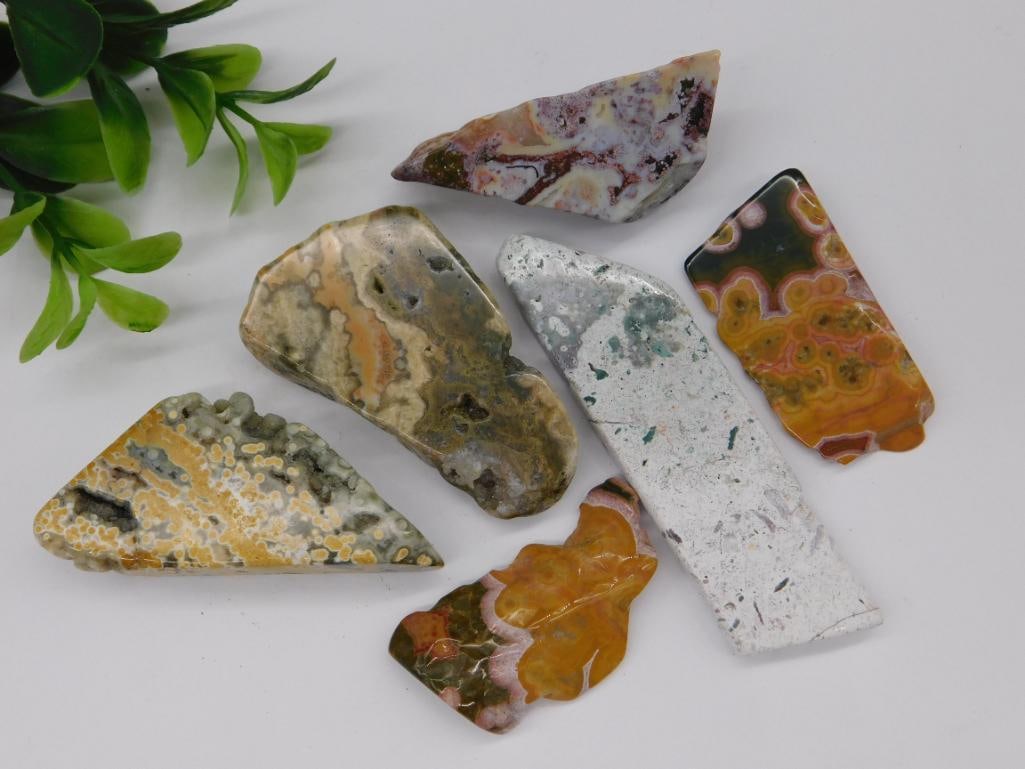 Ocean Jasper Pieces ROCK STONE LAPIDARY SPECIMEN: Ocean Jasper Pieces ROCK STONE LAPIDARY SPECIMEN