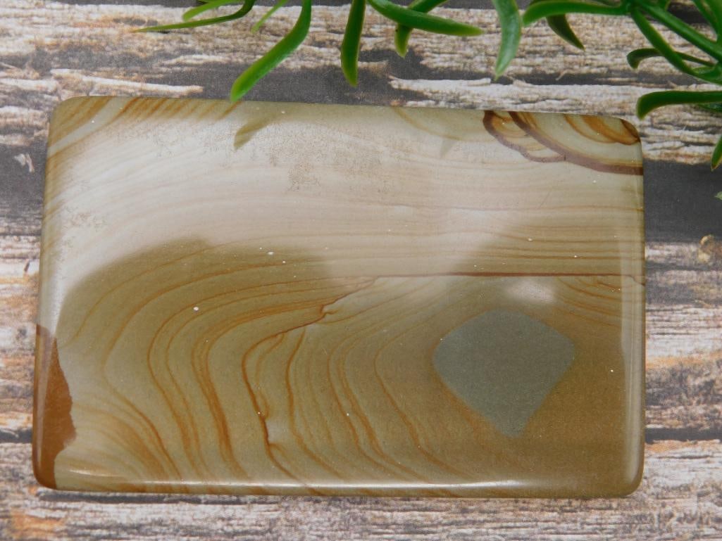 JASPER CABOCHON ROCK STONE LAPIDARY SPECIMEN: JASPER CABOCHON ROCK STONE LAPIDARY SPECIMEN