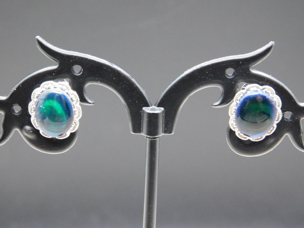 ABALONE STONE EARRINGS ROCK STONE LAPIDARY SPECIMEN: ABALONE STONE EARRINGS ROCK STONE LAPIDARY SPECIMEN