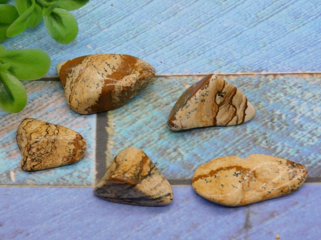 PICTURE JASPER ROCK STONE LAPIDARY SPECIMEN: PICTURE JASPER ROCK STONE LAPIDARY SPECIMEN