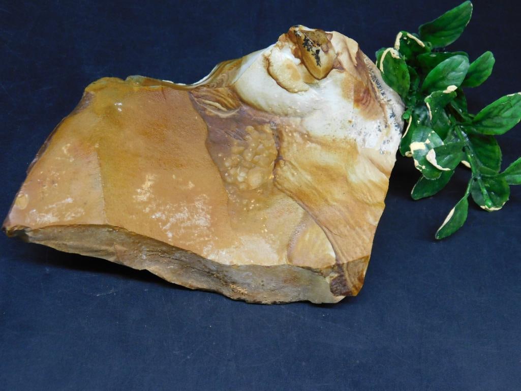 JASPER ROCK STONE LAPIDARY SPECIMEN: JASPER ROCK STONE LAPIDARY SPECIMEN