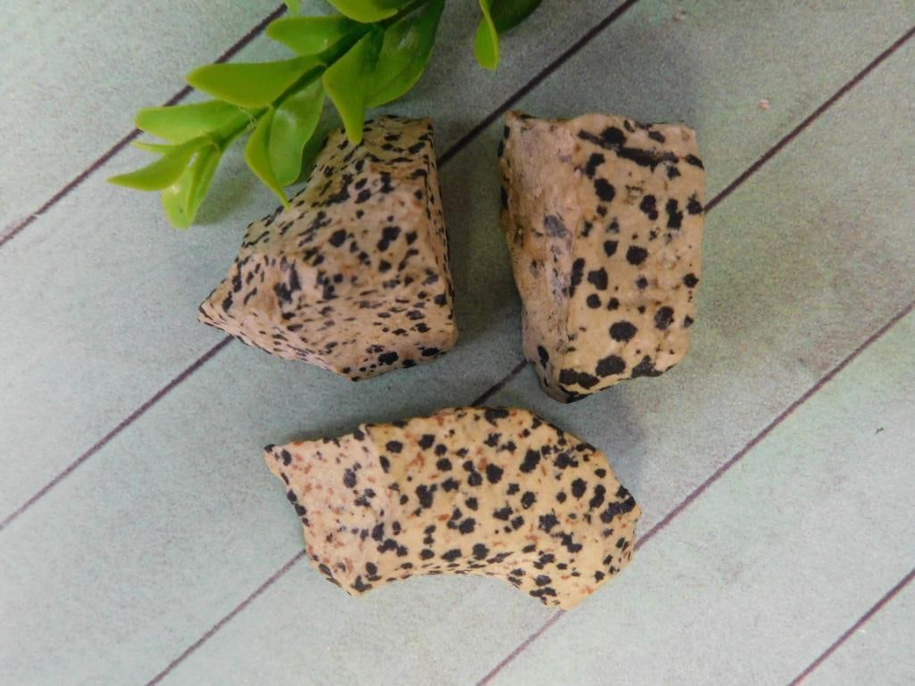 DALMATION JASPER ROCK STONE LAPIDARY SPECIMEN: DALMATION JASPER ROCK STONE LAPIDARY SPECIMEN